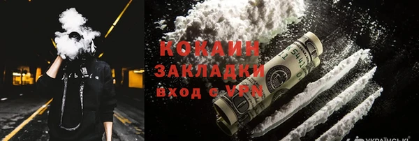 шишки Алзамай