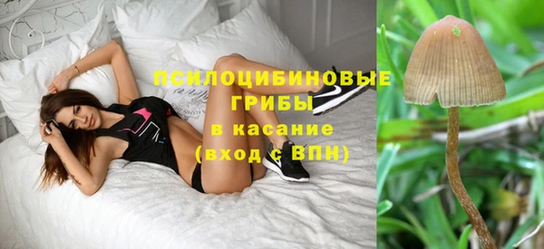 молекула духа Баксан