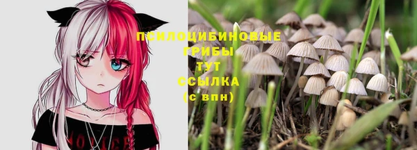 кокаин перу Аркадак